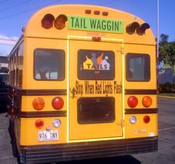 Tails of Hawaii (rear)